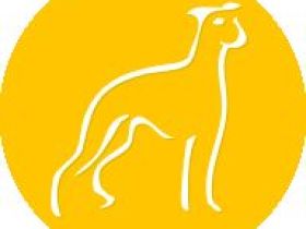 *Freude am Hund* in München Olympiapark und Pasing