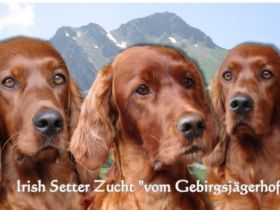 vom Gebirgsjägerhof