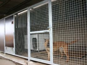 Winklers Hundepension & Hundeschule