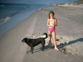 Private Tierbetreuung – Tagesstätte und Pension