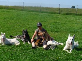 Hundeschule "Wild Bandits"