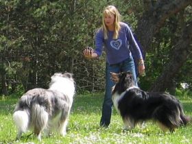 HUNDESCHULE  EPFENBACH   Training Beratung