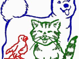 Pfötchenservice Markranstädt in Sachsen