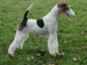 von der Bismarckquelle