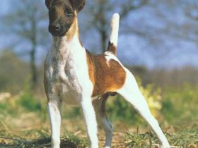 von der Bismarckquelle