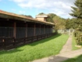 Hundepension-Schule Asmann