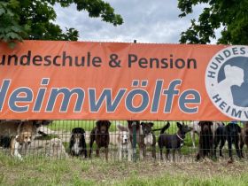 Hundeschule & Pension Heimwoelfe