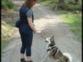 Hundeschule Pfoten-Team