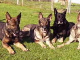 von der Hettlingshöhe