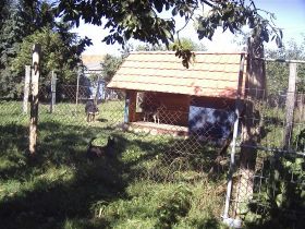 Haustierhotel Kischio-Hundepension