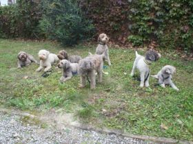 von der Schnüffelnase