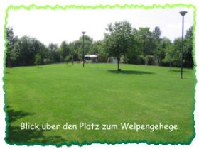 Verein Niederrheinischer Hundefreunde e.v., Krefeld