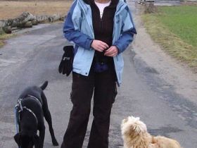 Hundeschule & Welpenschule Nancy Fuhr