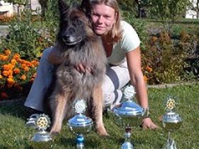 Hundeschule "Canis lupus" in Dresden