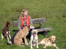 Monas mobile Hundeschule