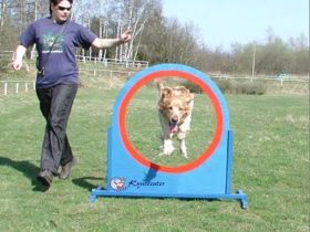 Hundeschule Kynocenter Münster