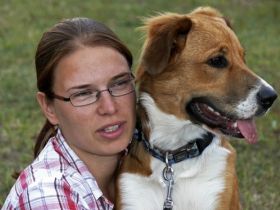 Mobile Hundeschule "Gefährten"