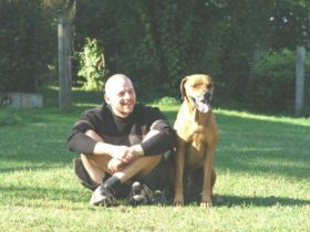 HundeHALTERschule novusLUPUS