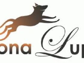 MonaLupa - Neues Lernen für Menschen mit Hund