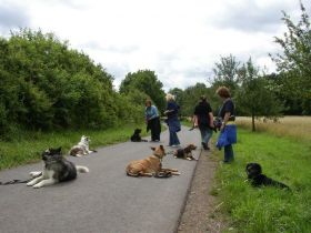 Hundeschule Lucky Dogs