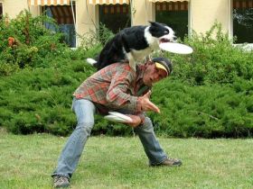 Pfötchen-Schule   Hilden - Jade - Resort Berlin