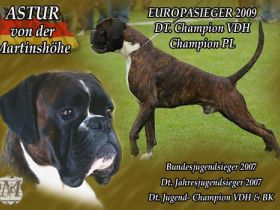 von der Martinshöhe