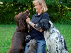 Hundeschule Stuttgart