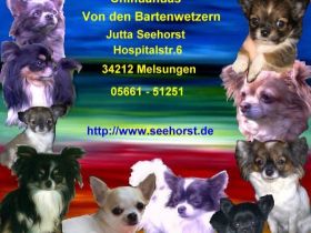 Von den Bartenwetzern