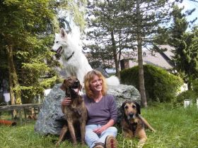 Familydog individuelles Training f. Hund u. Halter