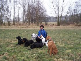 Rund um's Hundeverhalten