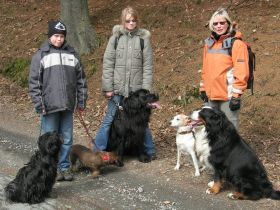 Tierpension Wiesengrund