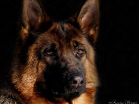 vom Beyenburger Stausee