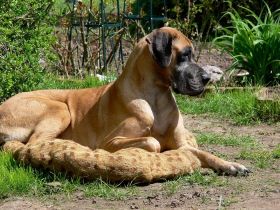 vom Altranstädter Schloß