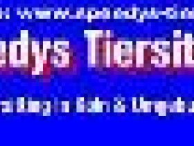 STS Speedys-Tiersitting