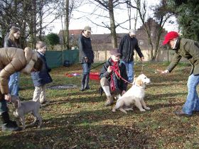 ARTGERECHT Schule für Menschen und Hunde