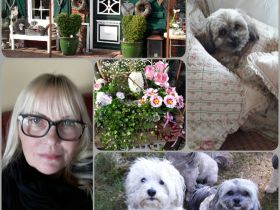 Kleine Landhaus-Hundepension Struvenhütten