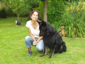 doggynews-Verhaltensberatung & Hundeschule