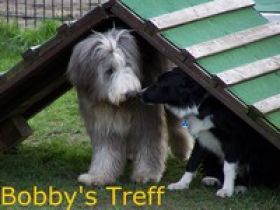 Bobby's Treff - Die Hundeschule in Straelen.