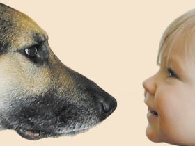 Verhaltensberatung Jörg Ziemer