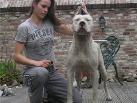 De La Orgullo Blanco