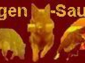 DVG KG Hagen-Sauerland