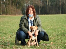 Hundeschule Wendelstein - Nürnberg