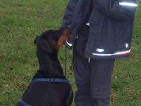 Mein Hund als Partner