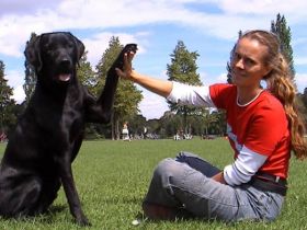 Hundeschule Luckydoggy