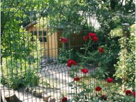 Tieroase Birkenschold