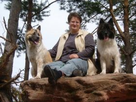 Hundeschule Frankenhoehe