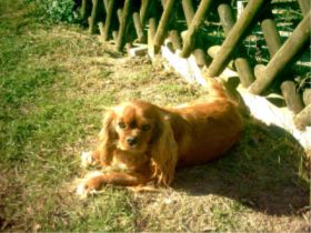 aus der Pritzhagener Heide