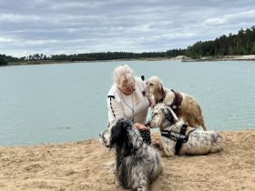 Setter by White Angel