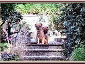 von der Border-Meute