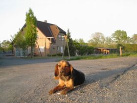 Hundeferienpark Siebern